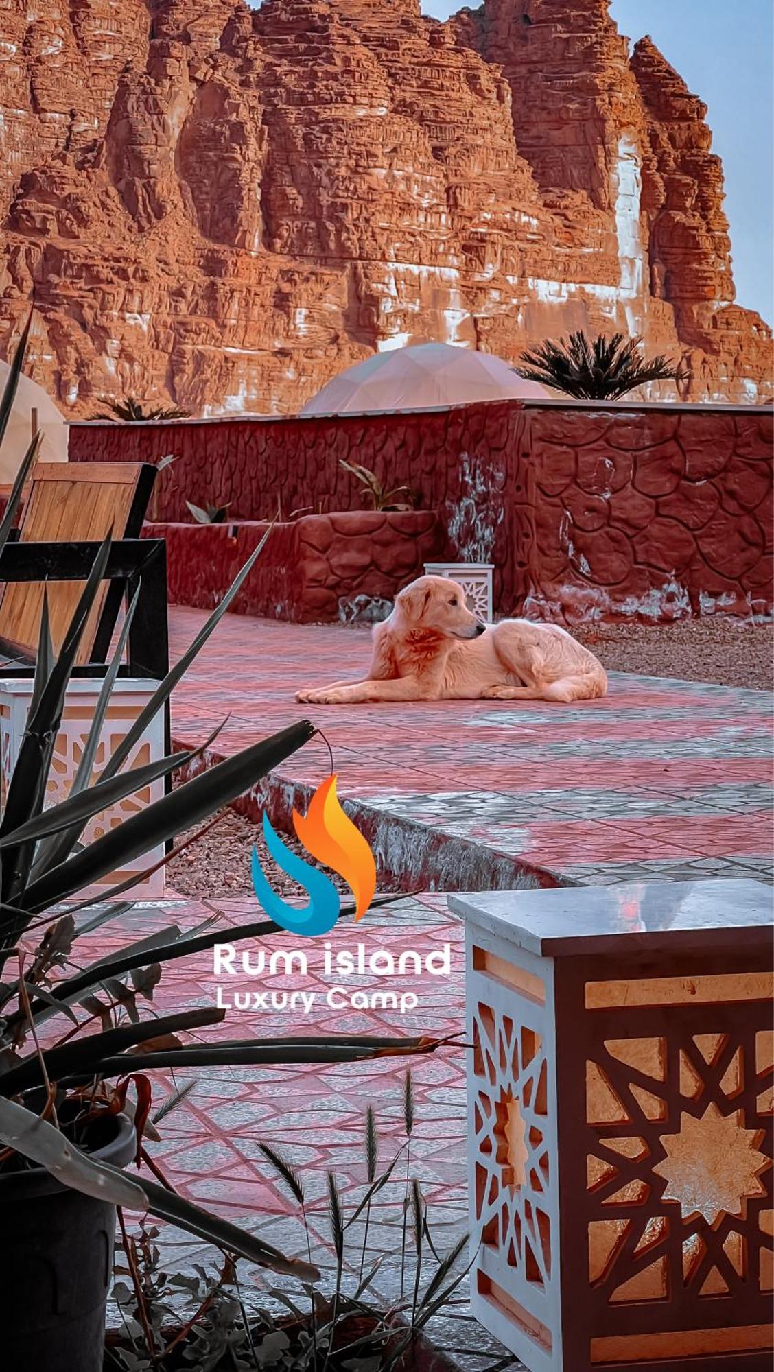 Rum Island Luxury Camp & Bubbles Hotel Вади Рум Екстериор снимка